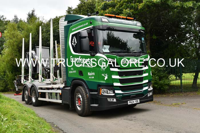EUROFOREST PN24 YBE 25ed0282