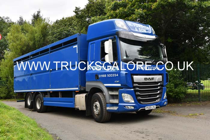 FORSYTH N, PX20 LYG 25ed0465