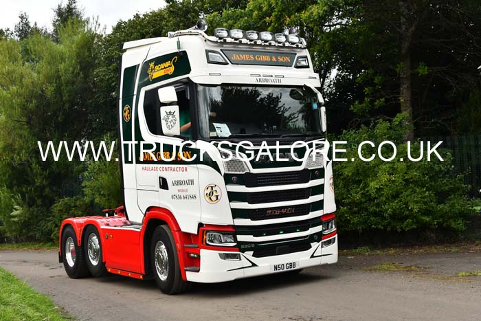 GIBB, JAMES N50 GBB 25ed1534