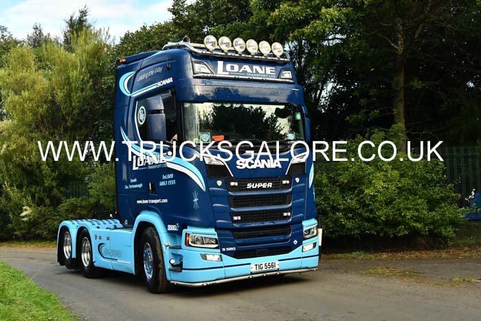 LOANE TIG 5561 25ed2198