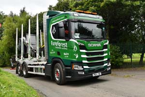 EUROFOREST PN24 YBE 25ed0282