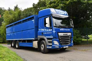 FORSYTH N, PX20 LYG 25ed0465