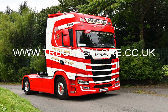 MORGAN 232-LH-1264 25ed0186