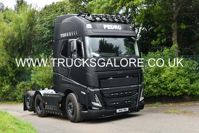 PEDRO DHZ 750 25ed0653