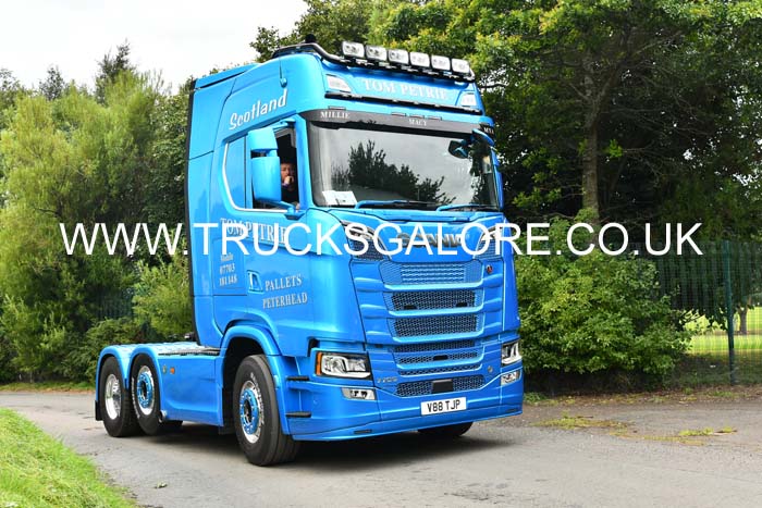 PETRIE, TOM V88 TJP 25ed0034