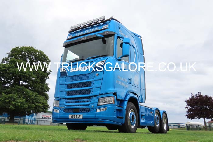 PETRIE, TOM V88 TJP 25ed2140