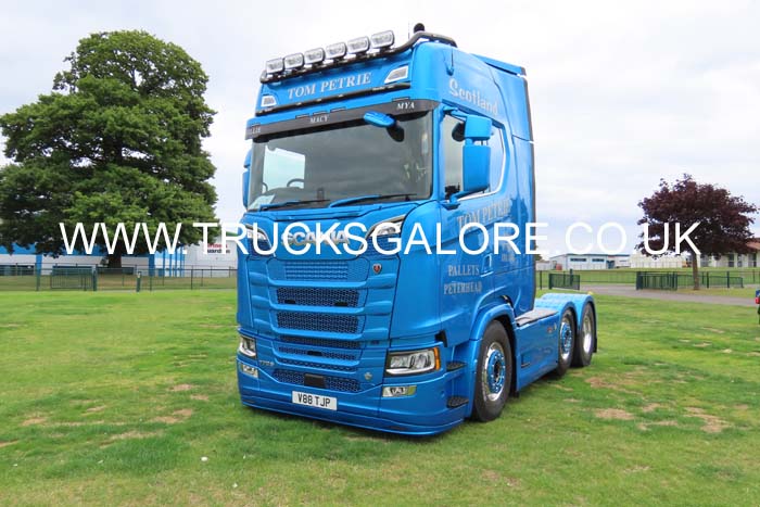 PETRIE, TOM V88 TJP 25ed2141