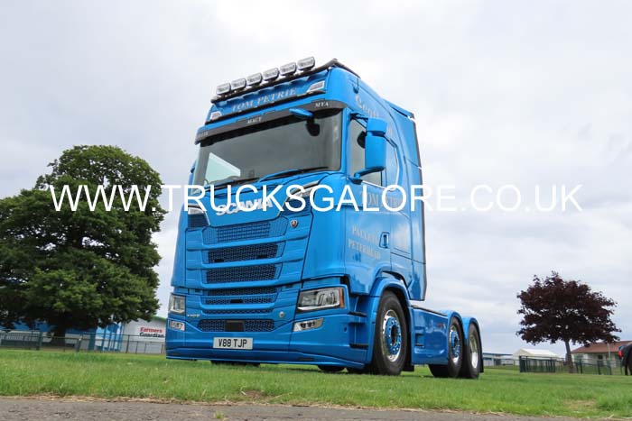 PETRIE, TOM V88 TJP 25ed2142