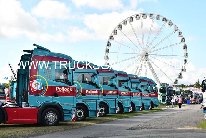 POLLOCK FLEET 25ed2409