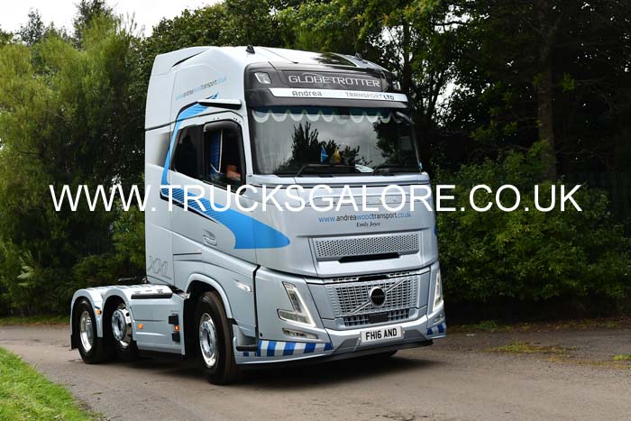 WOOD, ANDREA FH16 AND 25ed1646