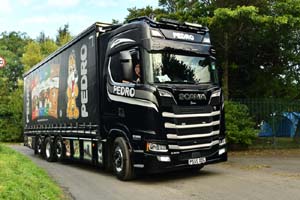 PEDRO P555 DOG 25ed2193