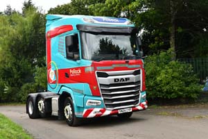 POLLOCK SN24 CYP 25ed1543