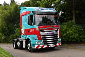 POLLOCK SN24 CYV 25ed1558