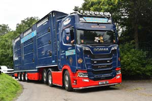 STEWARTRW, V100 RWS 25ed1317