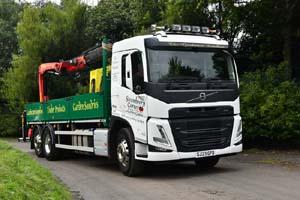 STRAWBERRY SJ23 GFO 25ed1466