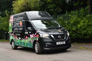 STRAWBERRY SL21 VCN 25ed1469