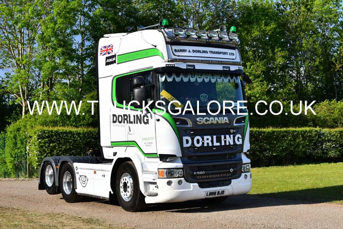 DORLING L888 BJD 25Lc1254