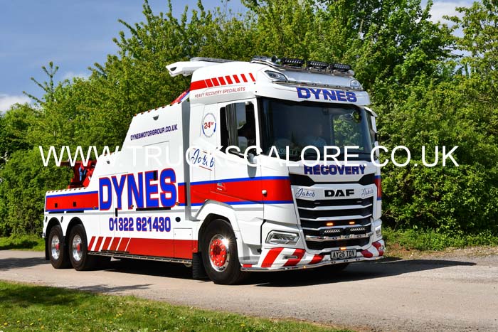 DYNES AY25 TDV 25Lc0642