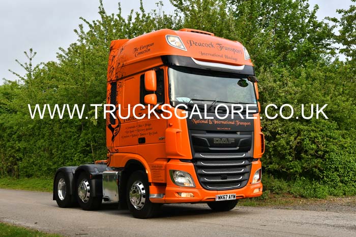 PEACOCK WK67 AYW 25Lc0203