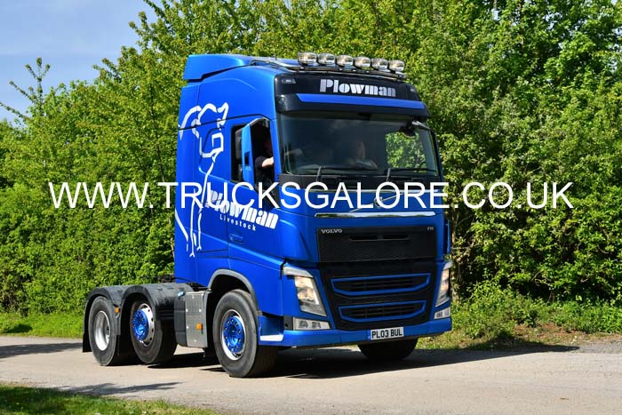 PLOWMAN PL03 BUL 25Lc0594