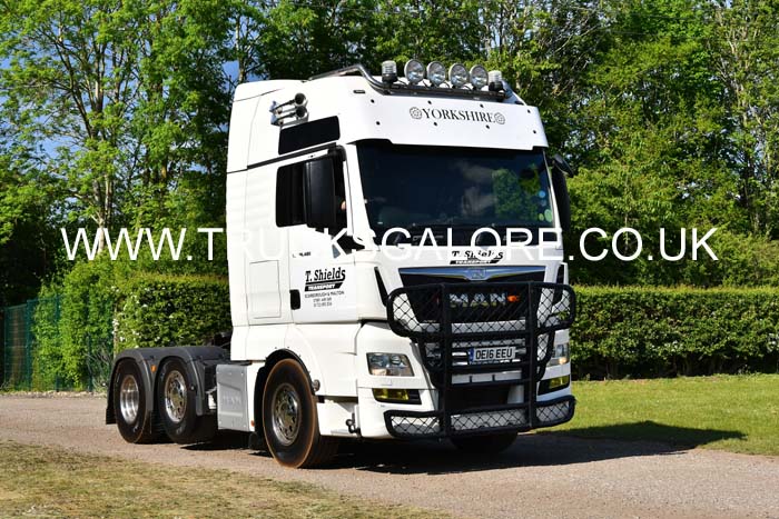 SHIELDS T, OE16 EEU 25Lc1048