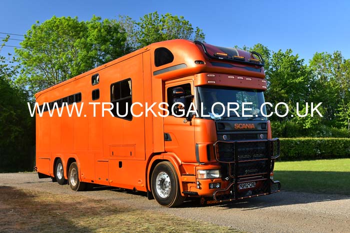 UNNAMED HORSE 25Lc1349