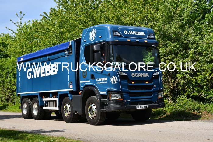 WEBB G, WE66 BEE 25Lc0551