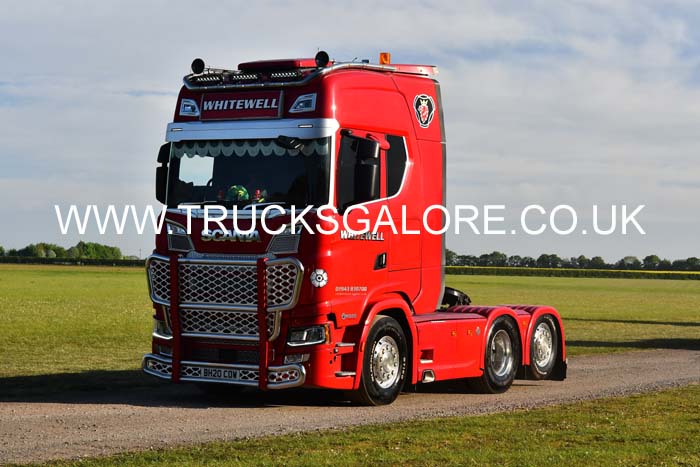 WHITEWELL BH20 COW 25Lc1769