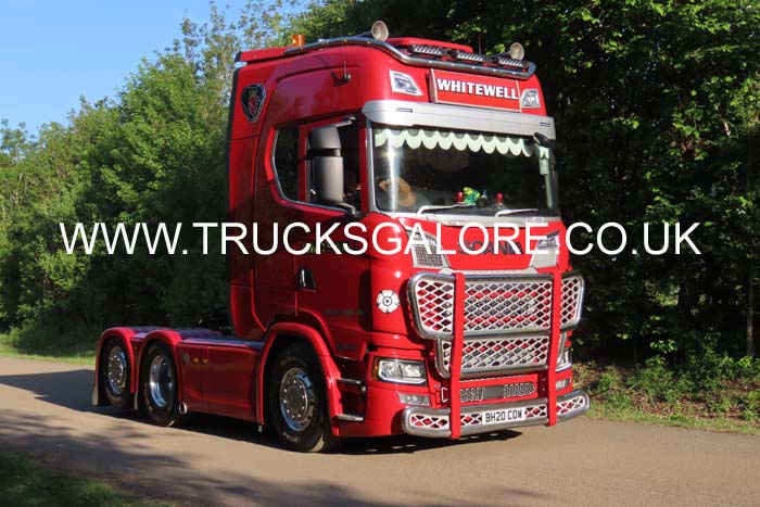 WHITEWELL BH20 COW 25Lc2286