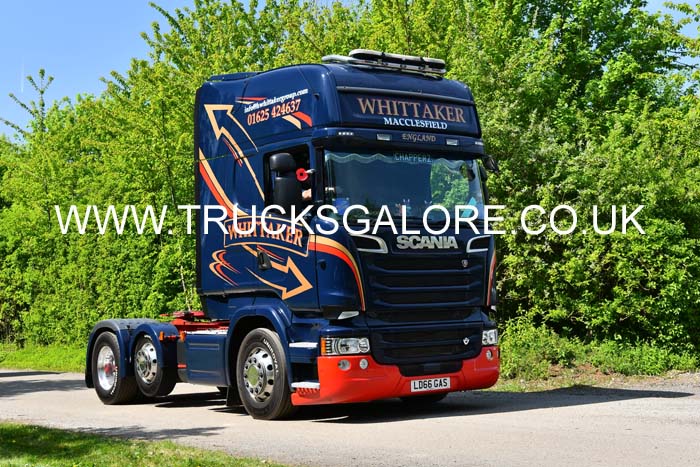 WHITTAKER LD66 GAS 25Lc0731