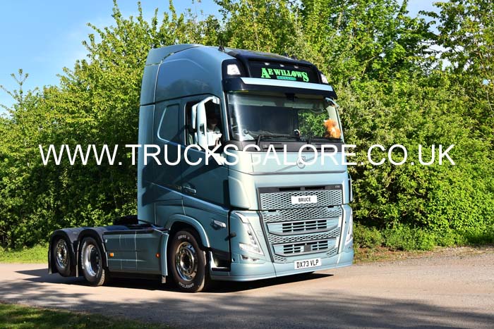 WILLOWS DX73 VLP 25Lc1829