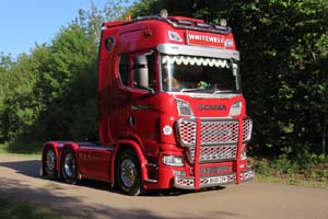 WHITEWELL BH20 COW 25Lc2286