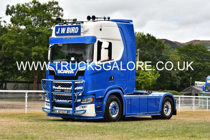 BIRD JW, JWB 660S 25mv0979