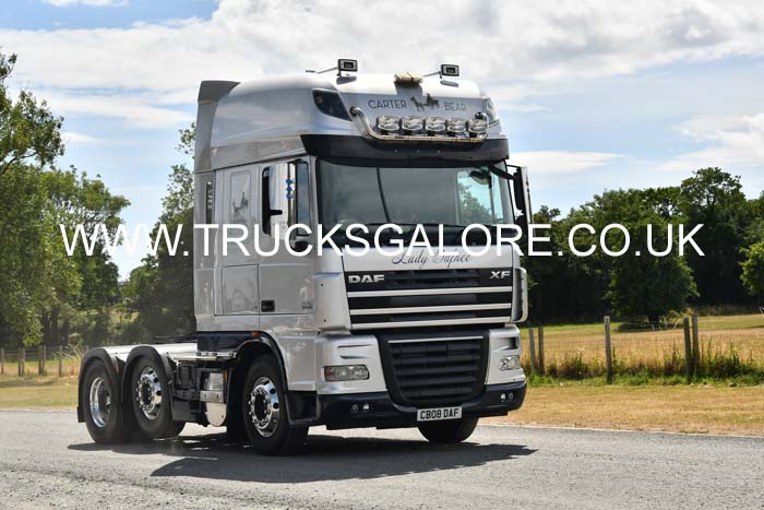 CARTER BEAR CB08 DAF 25mv0247