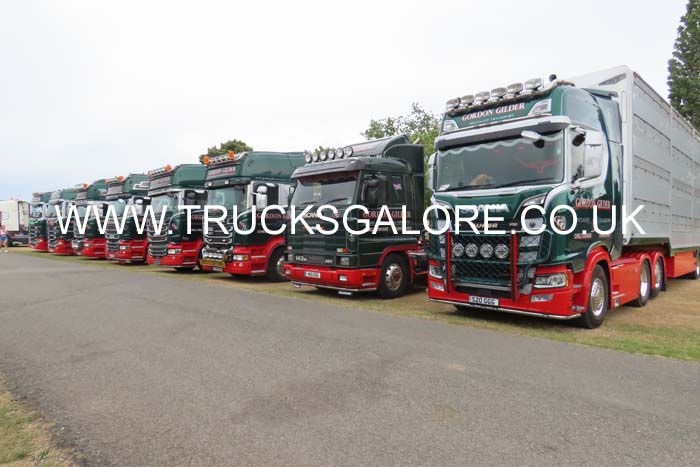 GILDER, GORDON FLEET 25mv0621