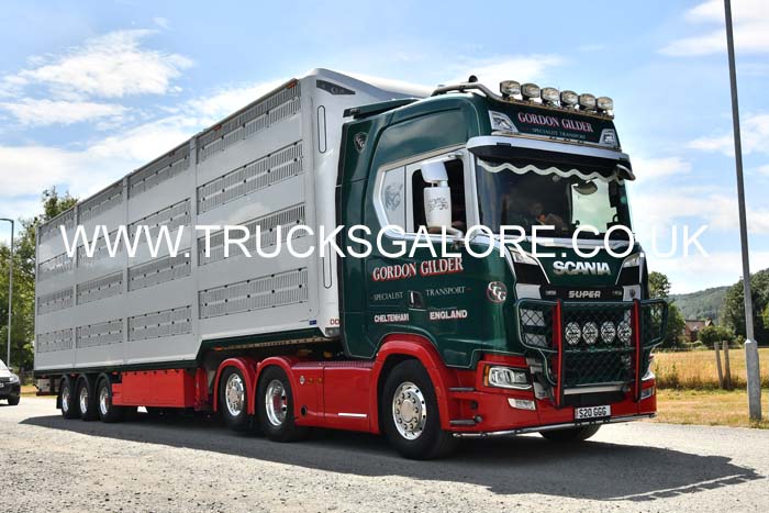 GILDER, GORDON S20 GGG 25mv0166