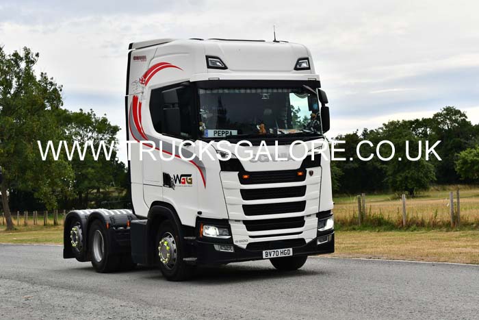 GILDER, WILLIAM BV70 HGD 25mv0799