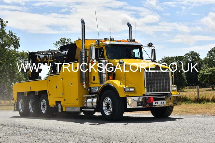 WALLS W99 LLX 25mv0233