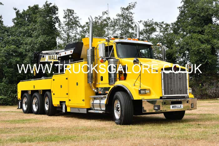 WALLS W99 LLX 25mv1008