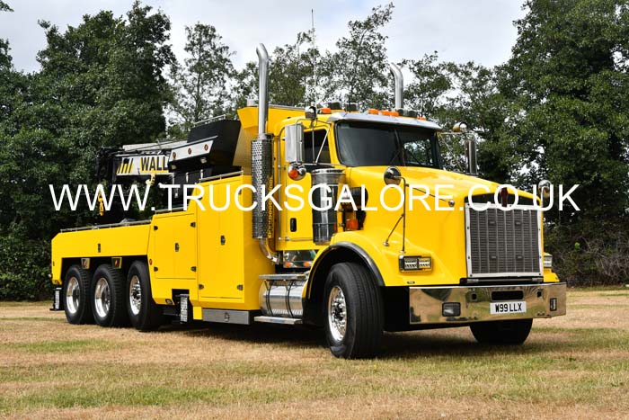 WALLS W99 LLX 25mv1009