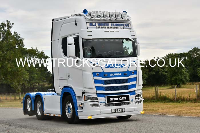 WHITE MJ, Y80 MJW 25mv0539