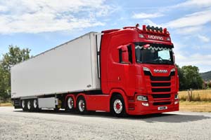 MORRIS G14 GRK 25mv0122