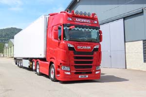 MORRIS G14 GRK 25mv0137