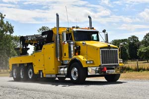 WALLS W99 LLX 25mv0233