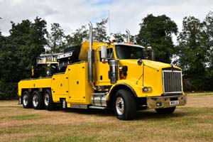 WALLS W99 LLX 25mv1011