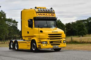 WALLS WA06 LLS 25mv0545