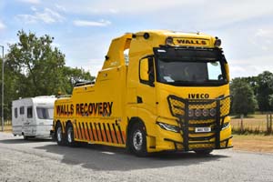 WALLS WA11 YEA 25mv0293