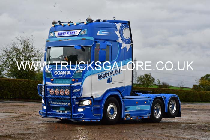 ABBEY PLANT Y44 APL 25nk0642