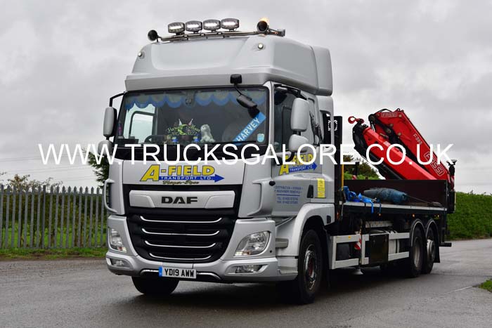 AFIELD YD19 AWW25nk0140