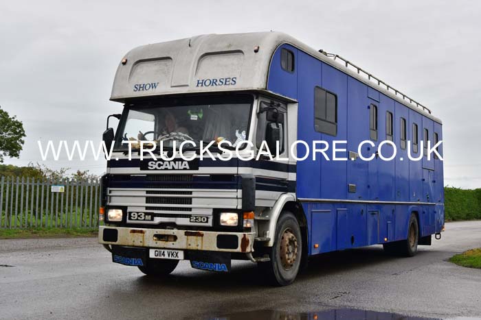 HORSES G114 VKX 25nk0352